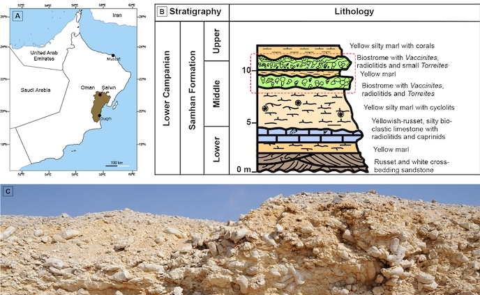 Omani researcher contributes to international study on ancient marine life
