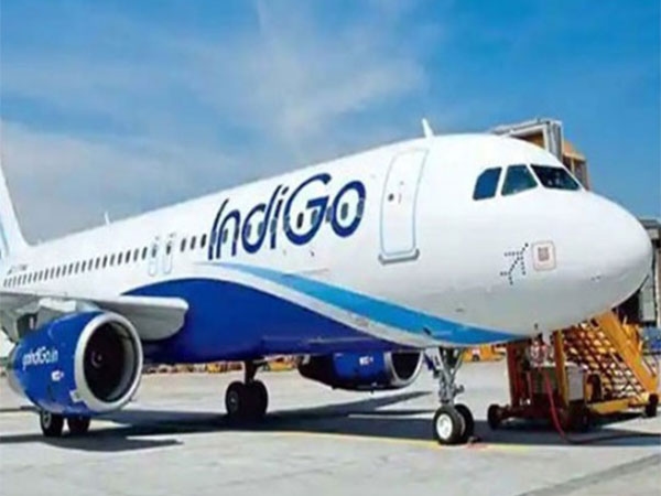 Minor technical glitch forces IndiGo flight to return to Delhi shortly after take-off