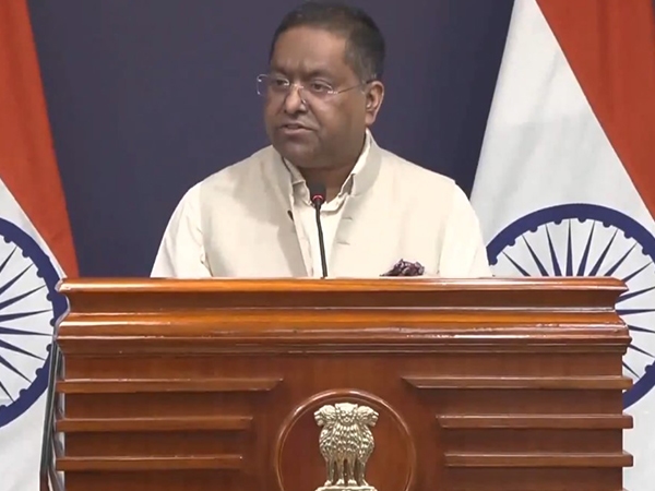 'India stands in solidarity with Iraq': MEA expresses grief over Al-Kut fire tragedy