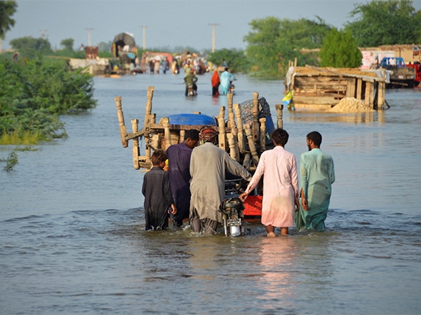 Monsoon mayhem: Over 200 dead, 560 injured as relentless rains lash Pakistan