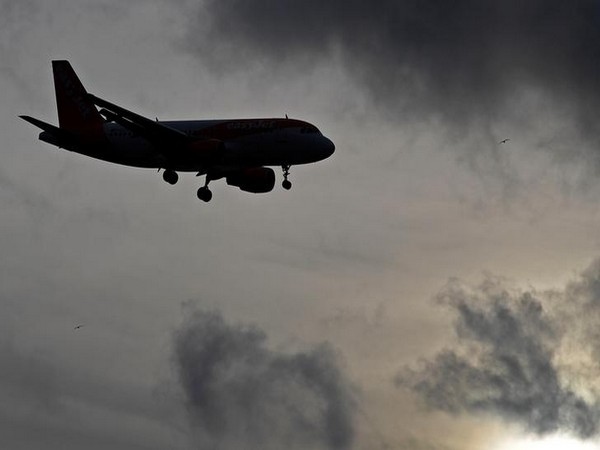 Wreckage of missing Russian An-24 plane found near forest, no survivors likely