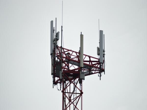India adds 2.46 mn wireless subscribers in June 2025, led by urban growth
