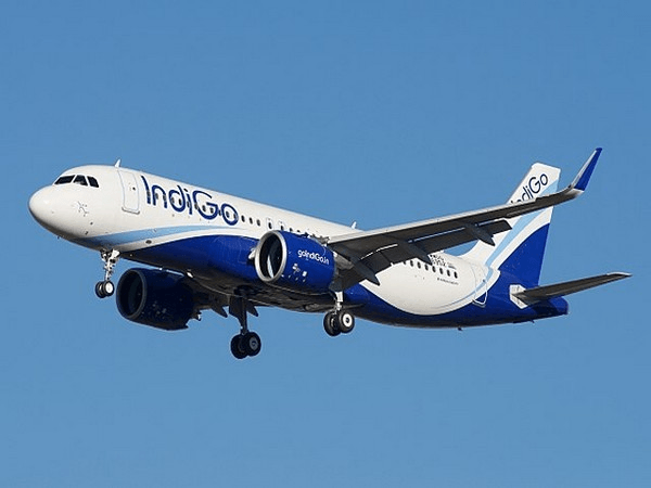 IndiGo registers 20% decline in Q1-FY26 net profits, passengers increase 12%