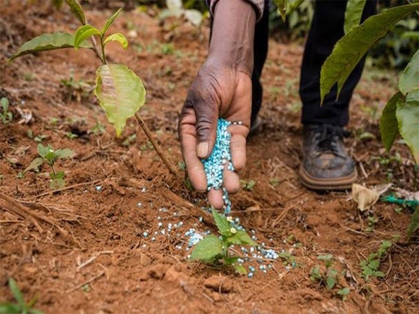 After energy, India now eyes self-reliance in fertilisers, reducing import dependence