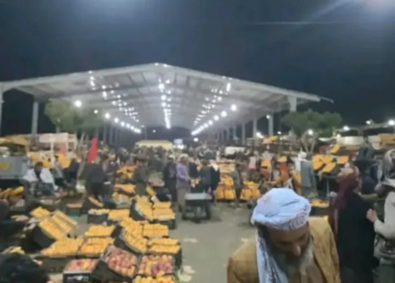 صنعاء…انهيار أسعار المحاصيل الزراعية والمزارعون يواجهون خسائر فادحة