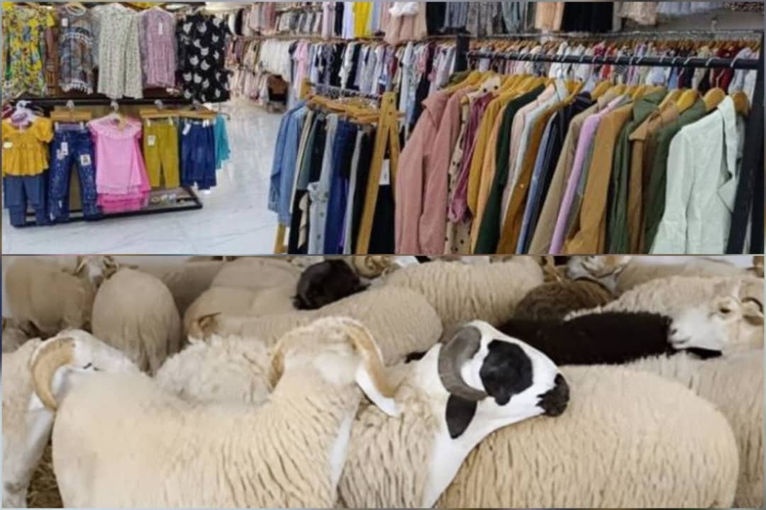 عيد الأضحى في اليمن.. الأضاحي نار والملابس حلم مؤجل