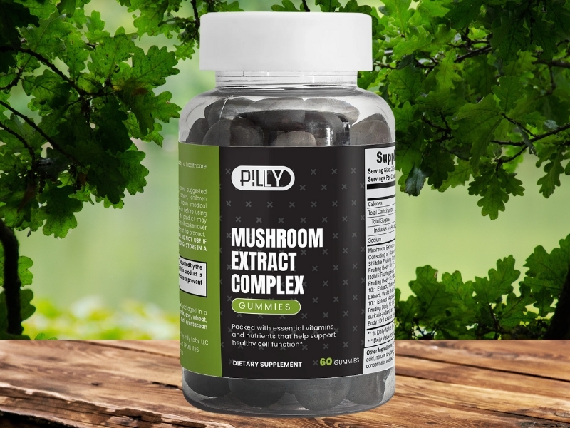 Pilly Labs Releases 2025 Update on Functional Mushroom Gummies Trends and Consumer Search Behavior
