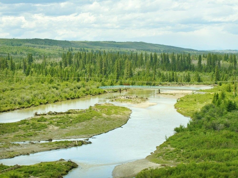 Weaselhead preservation group seeks nocturnal sanctuary status for Calgary's only 'delta'