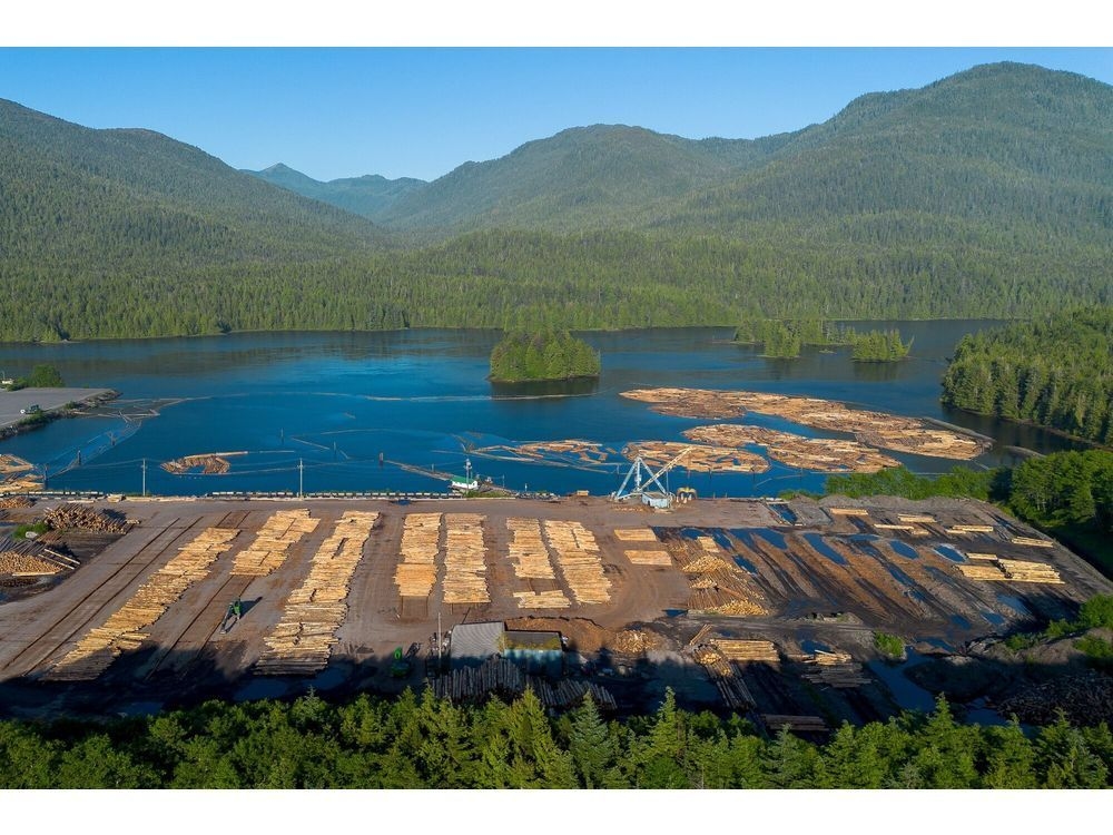 Carney pledges $1.2 billion for lumber sector hit by Trump