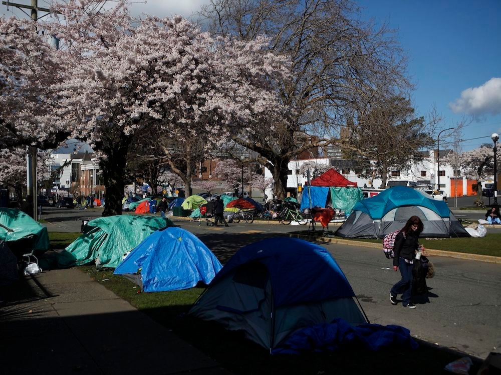 Julian Somers: Victoria's Pandora Avenue is a hive of misery. But as its name suggests, there's hope