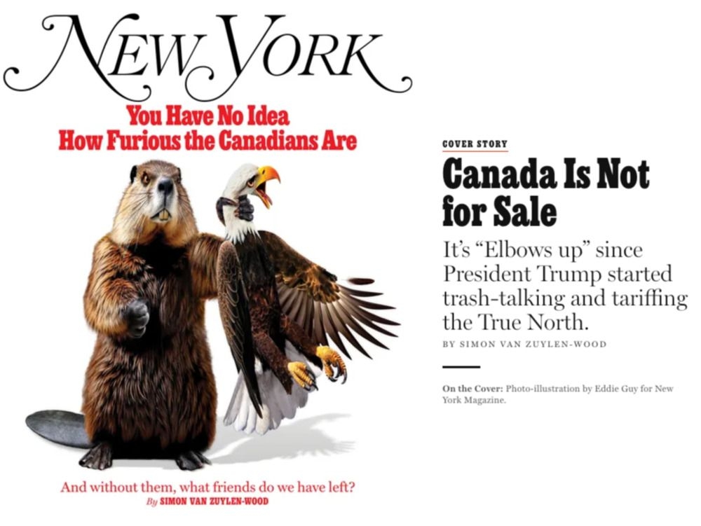An American sent to Canada was shocked by how furious Canadians are at the U.S.