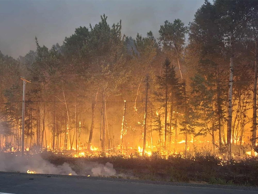 Letters: Liberty versus wildfire risk and other burning issues