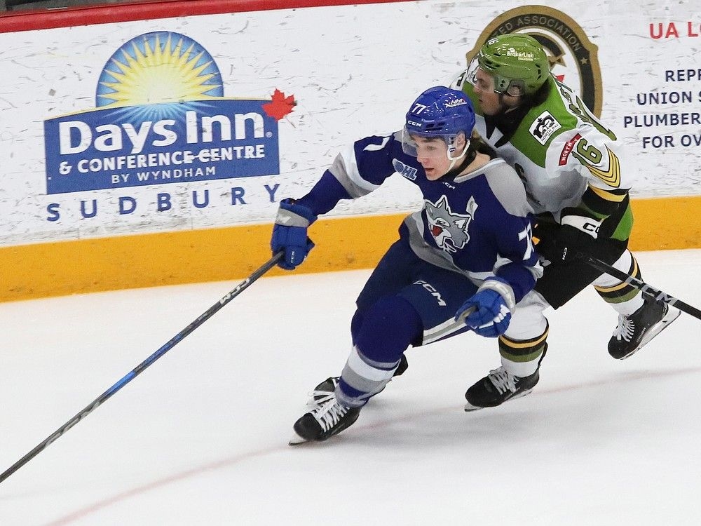 Rowan Henderson eyes big sophomore season with Sudbury Wolves