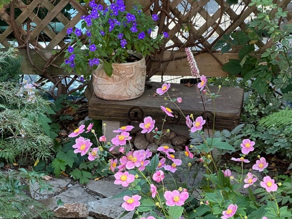 Outdoors: Creating a Japanese-inspired garden