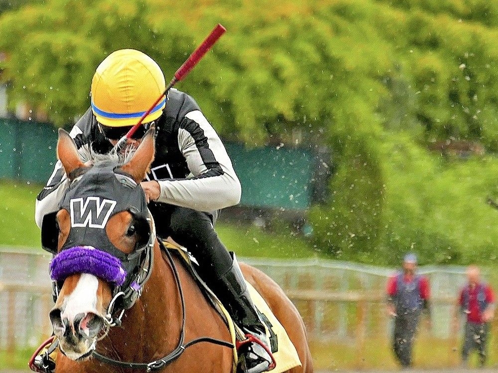 All eyes will be on the horse that gets bedtime stories during River Rock Casino Stakes at Hastings