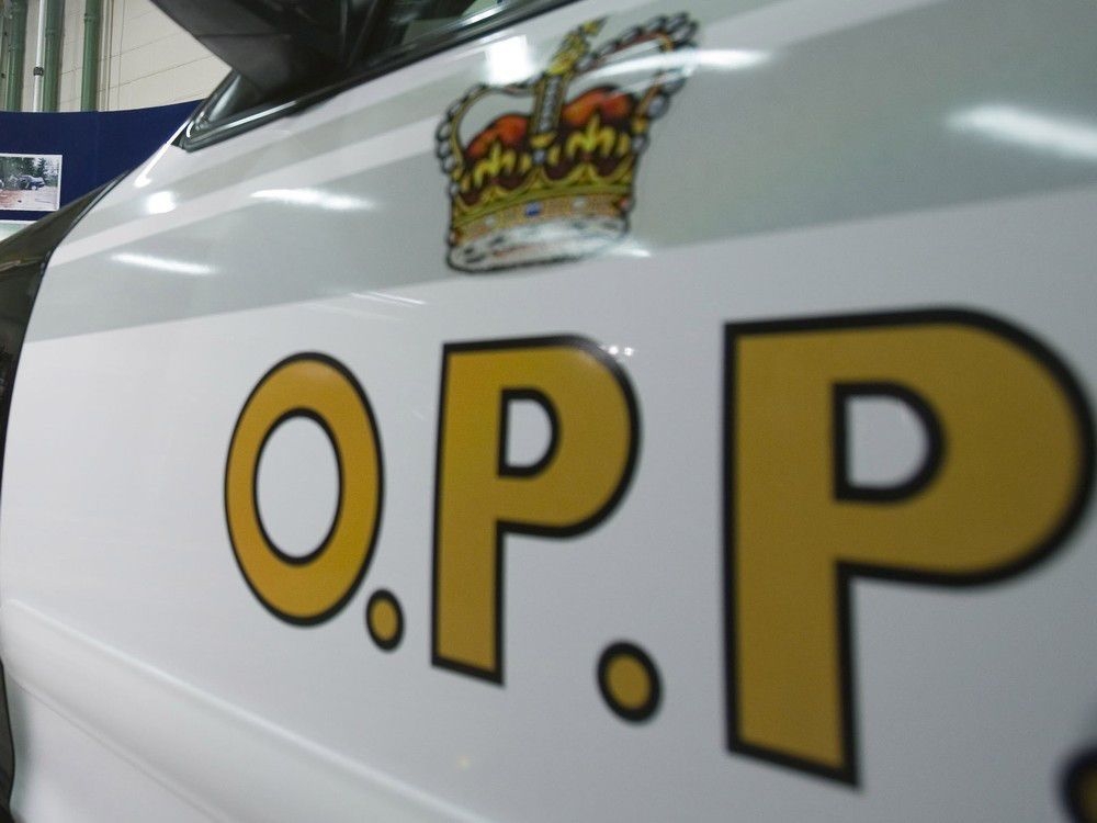 Undercover cops nab 36 Ontario men, aged 18 to 73, in child luring probe