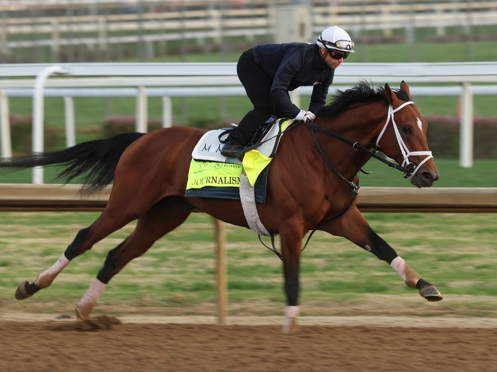 Kentucky Derby 2025 odds, post positions, favourites and analysis