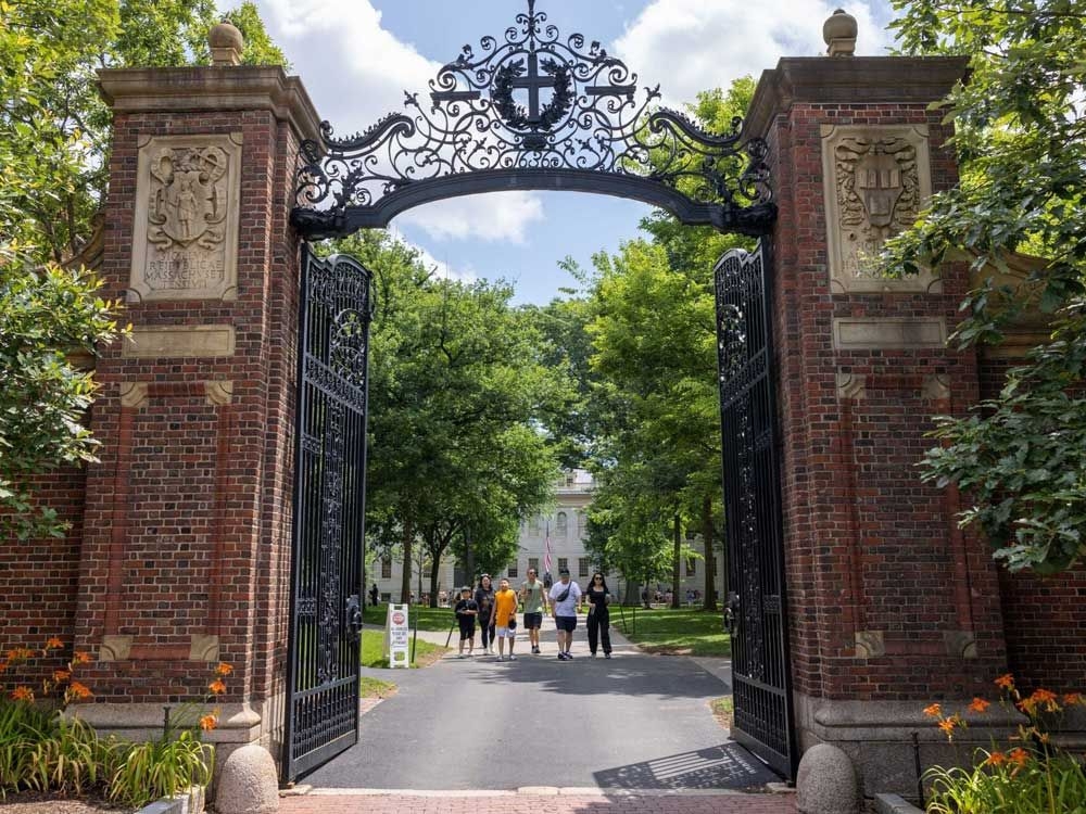 McCAUGHEY: Ivy League hoodlums getting what they deserve