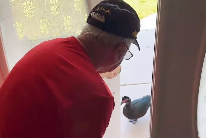 Florida residents spooked by feral duck terrorizing neighbourhood