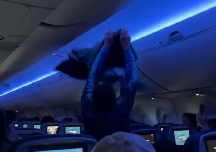 Pigeon panic ensues on Delta flight as birds take over plane