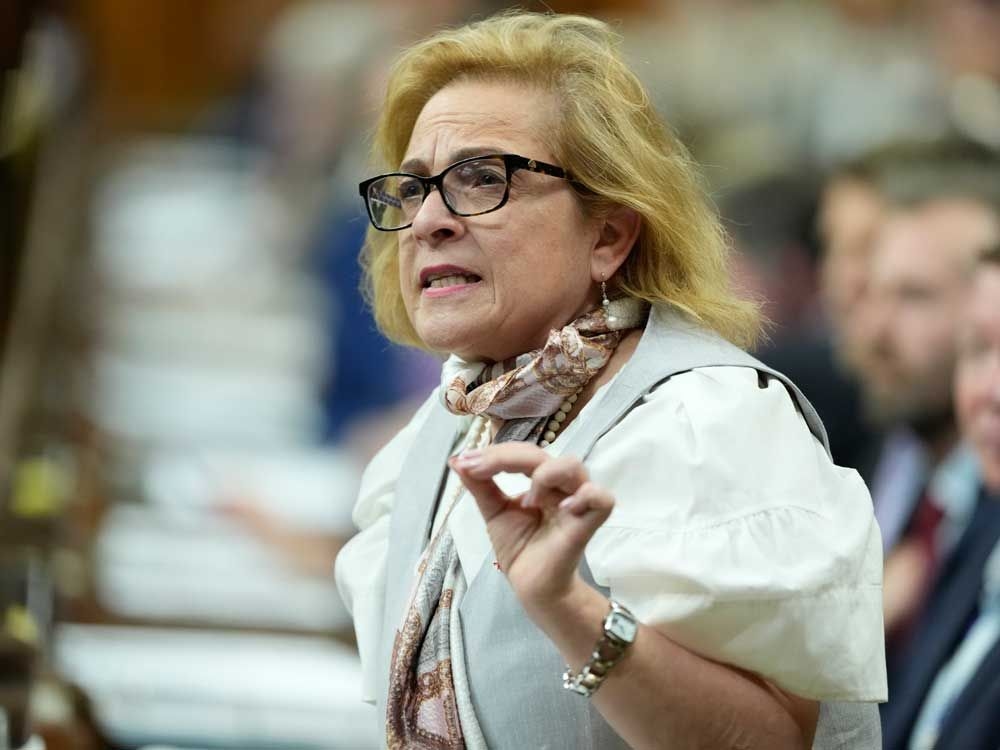 Federal minister plans to hold consultations this summer on immigration intake