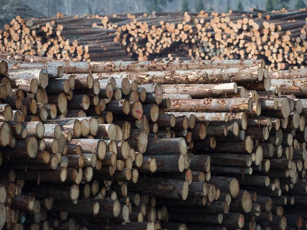 B.C. forestry executive warns against cutting bad deal after U.S. raises tariffs