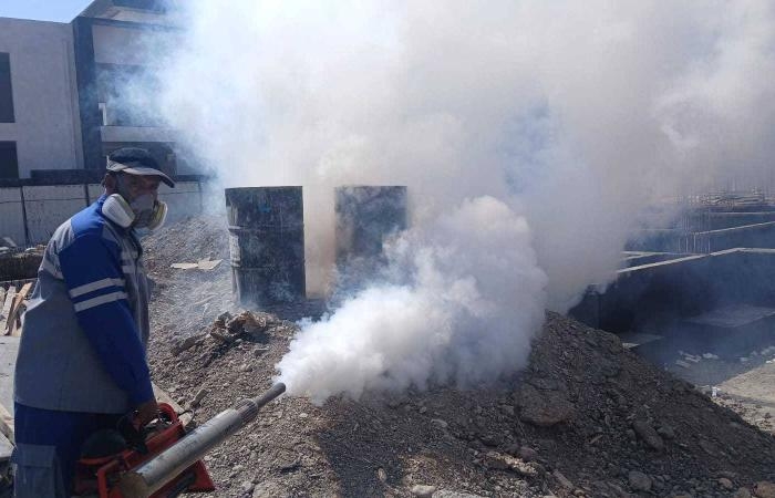 حملات لمكافحة البعوض في 2550 موقعاً بدبا الفجيرة