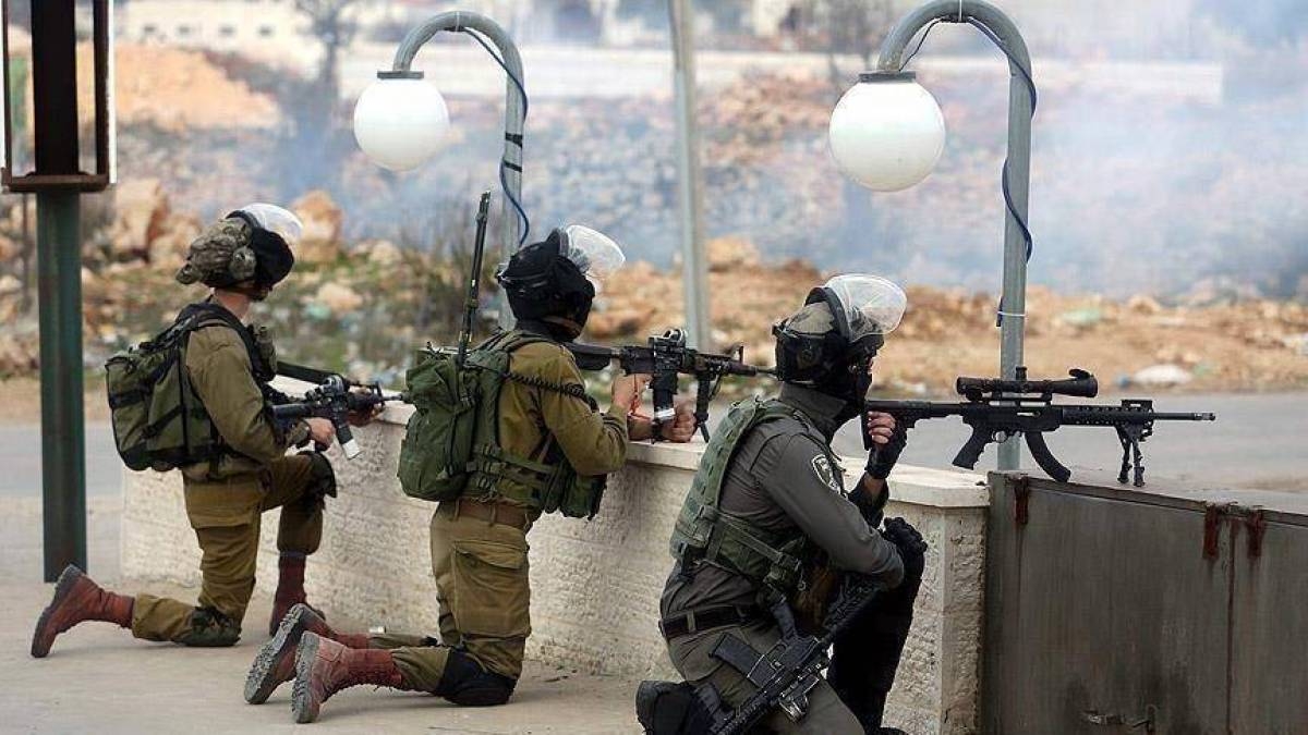 حملة دهم واسعة وتجريف أراضي شمال الضفة