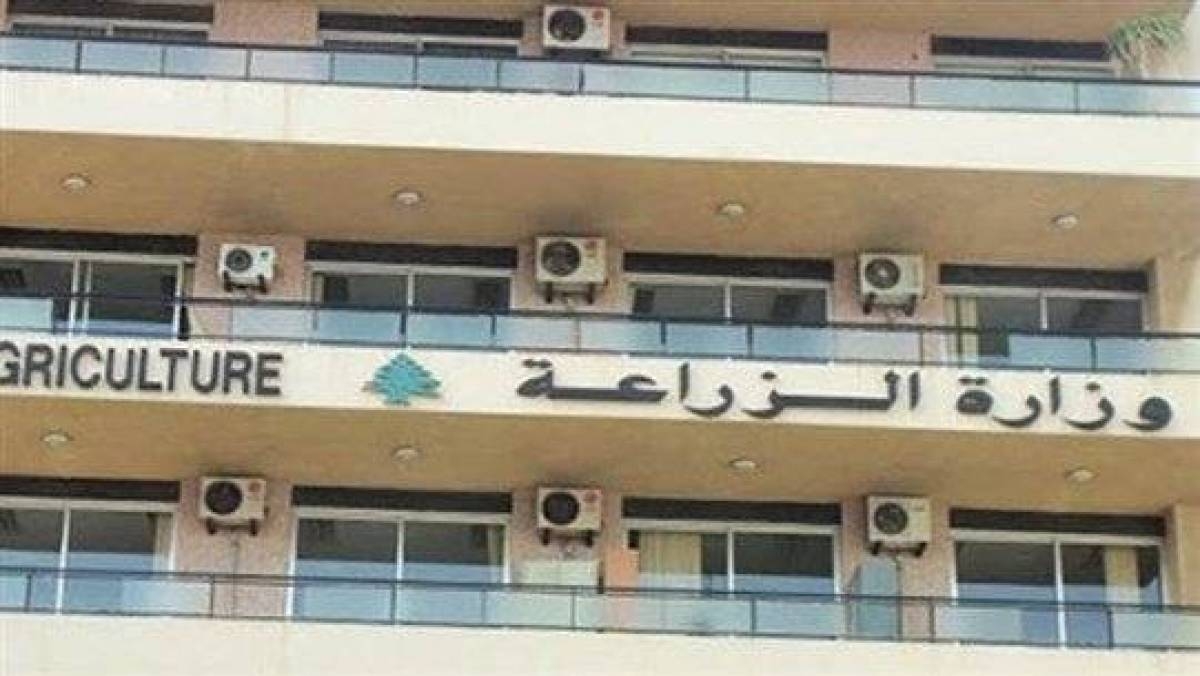 وزير الزراعة: التربة سليمة والخسائر 120 مليون دولار