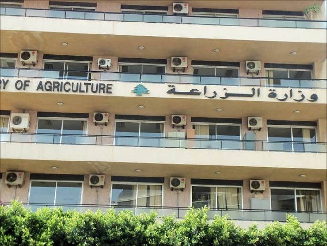 وزارة الزراعة تابعت بلاغاً عن ضباع في الضنية: لا مخالفات مرصودة