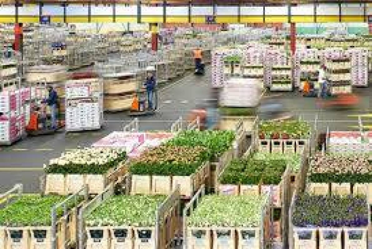 الاردن يباشر بأستيراد الحمضيات من لبنان....! ترشيشي:خطوة ايجابية ولو متأخرة لان الموسم على نهايته