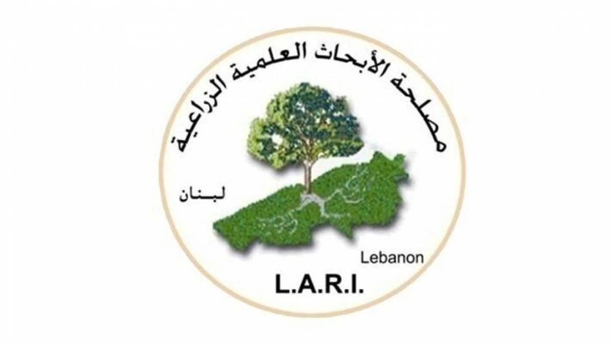 "Lari": مؤشر الحرائق يرتفع بسبب الحر والجفاف