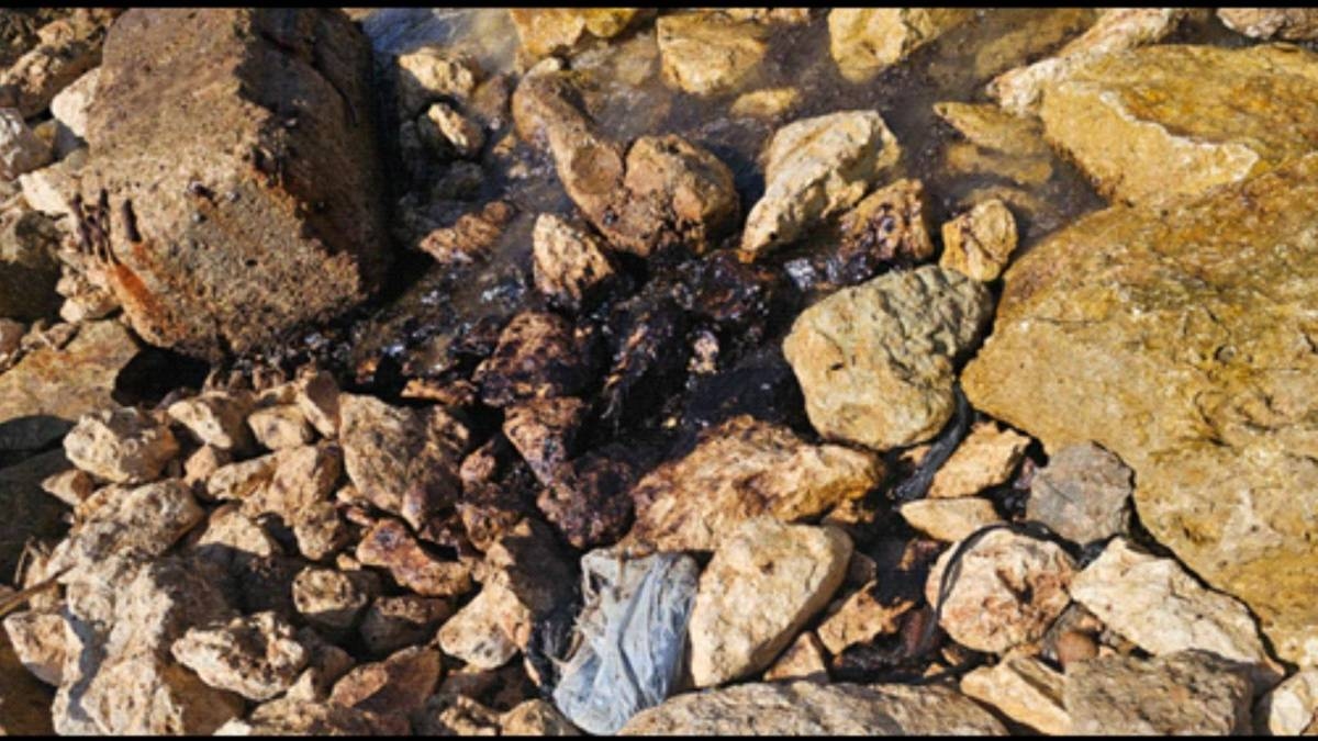 بعد التلوّث النفطي في منطقة الجيّة... وزارة البيئة تتحرّك وتطالب القضاء بفتح تحقيق