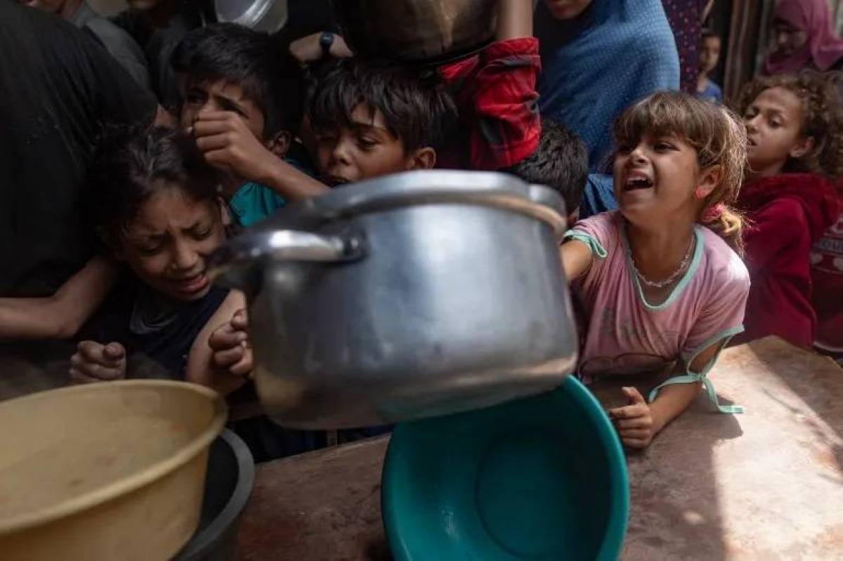 طبيبة أميركية في غزة: مستوى الجوع مروع ومرضى يُعالجون على الأرض!