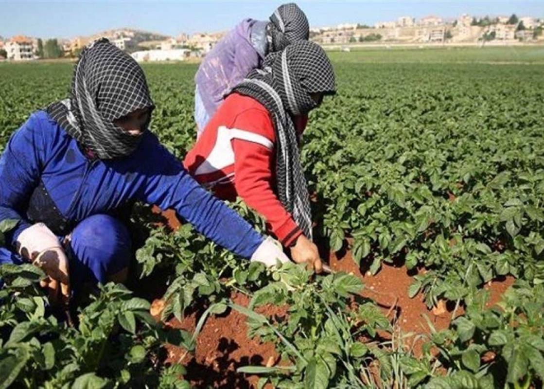 نقابة المزارعين في محافظة بعلبك الهرمل: لإعطاء عمليات فرز الأراضي وضمها الأولوية