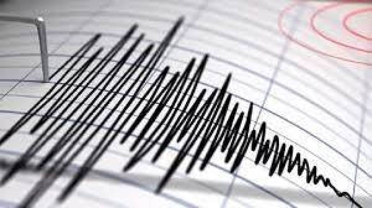 زلزال بقوة 6,5 درجات ضرب بابوا في شرق إندونيسيا