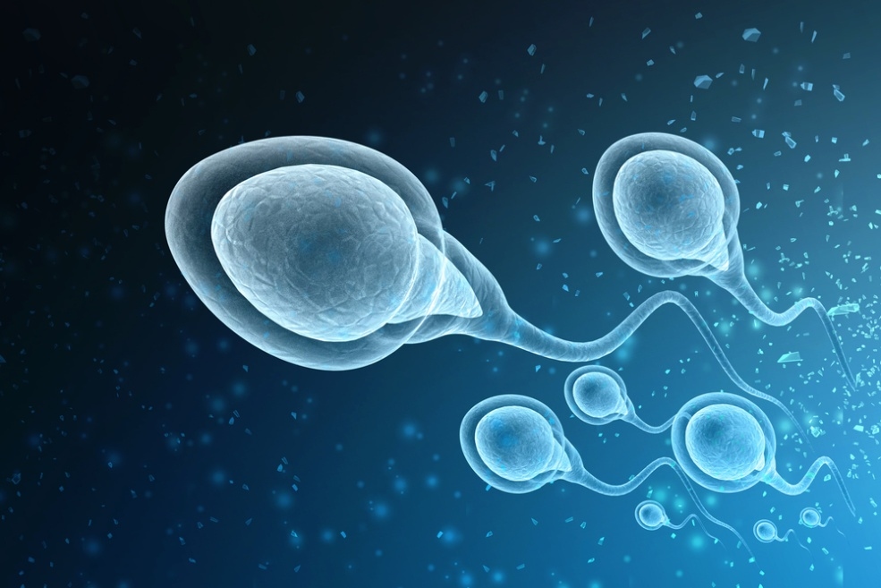 هل يؤثر عمر الرجل على نجاح الحمل؟ نتائج صادمة في دراسة جديدة