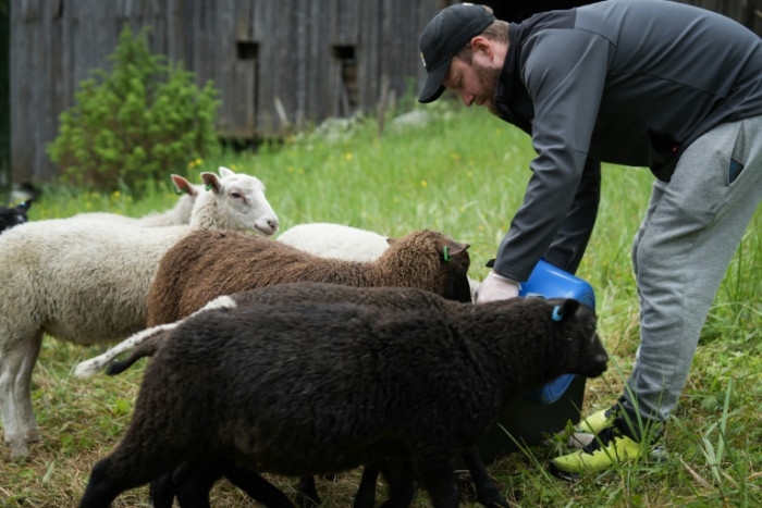 Finns flock to ‘shepherd weeks' to disconnect on holiday