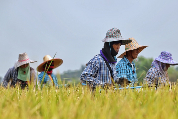 Thai commerce ministry eager to boost price, exports of agricultural products