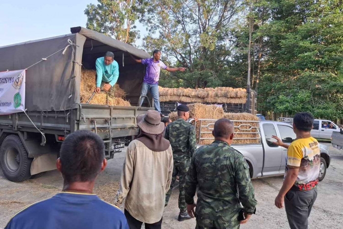 Thai military detects 'continuous movements' near Cambodian border