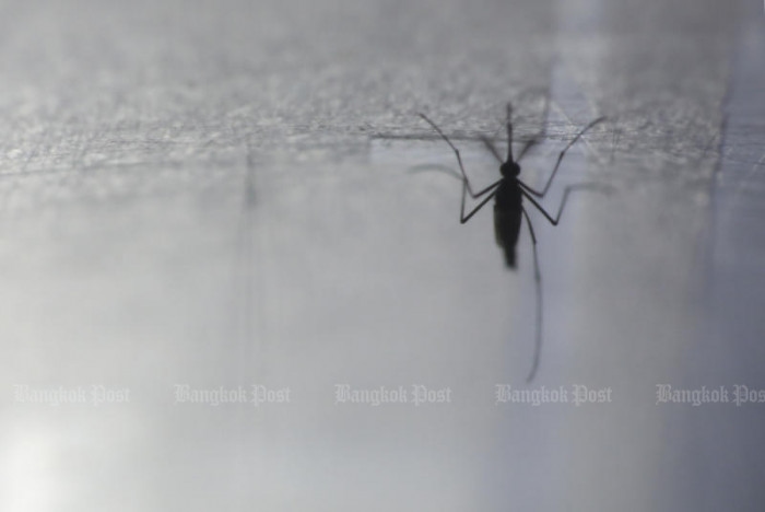 Hong Kong records first imported case of chikungunya fever since 2019