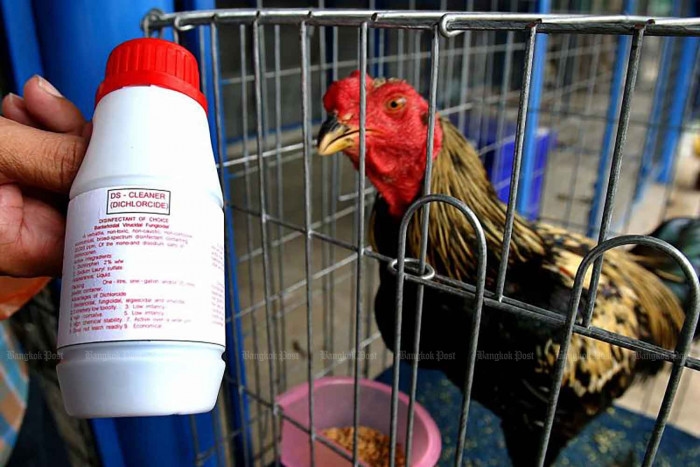 Authorities on high alert for avian flu