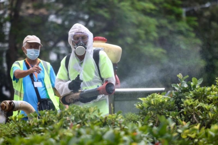 Imported chikungunya cases will rise steadily in Hong Kong, leading expert warns