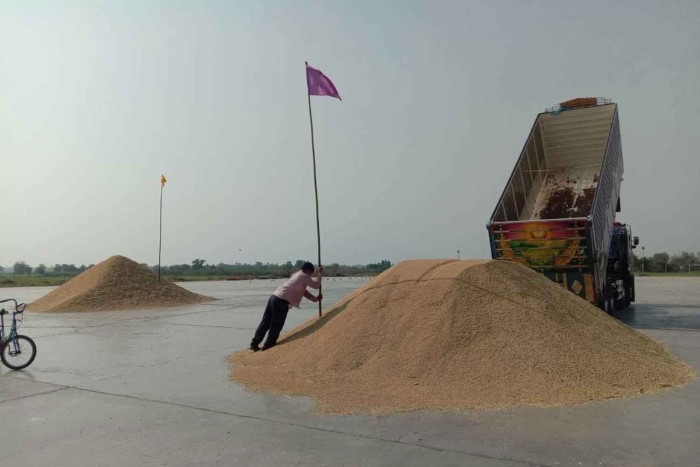 Rice exporters target new Asian markets