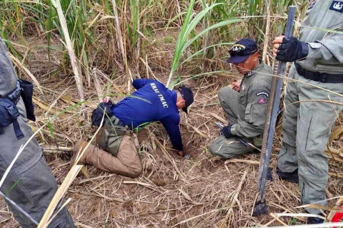 Neda halts all new projects in Cambodia