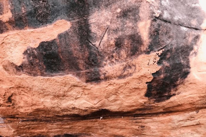 Ancient rock art found in newly discovered cave