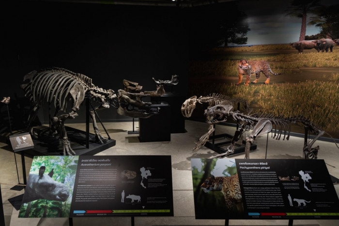 Exhibition brings prehistoric Thailand to life