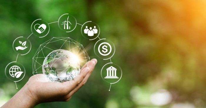 Thai listed firms notch several awards