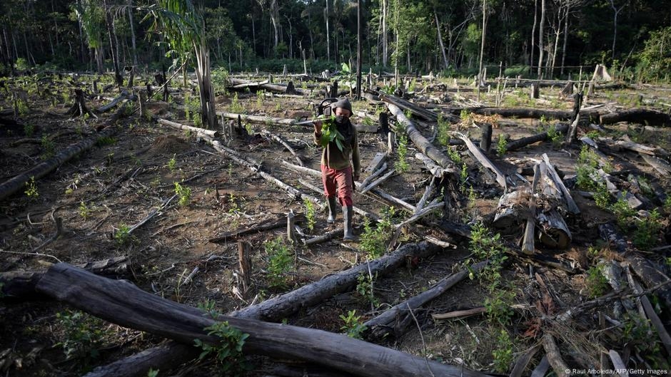 Colombia deforestation surges 43%, Amazon region worst hit – DW – 08/01/2025