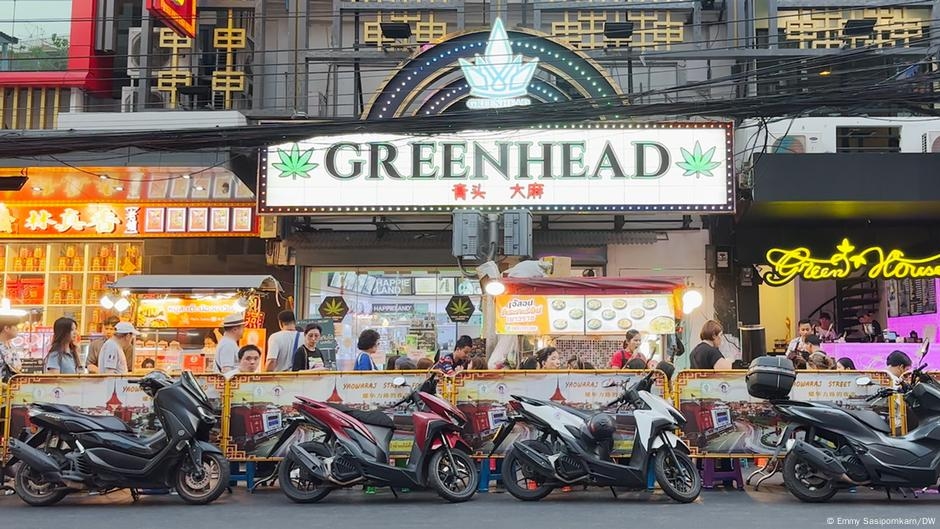 Thailand moves to make recreational cannabis illegal again – DW – 06/25/2025
